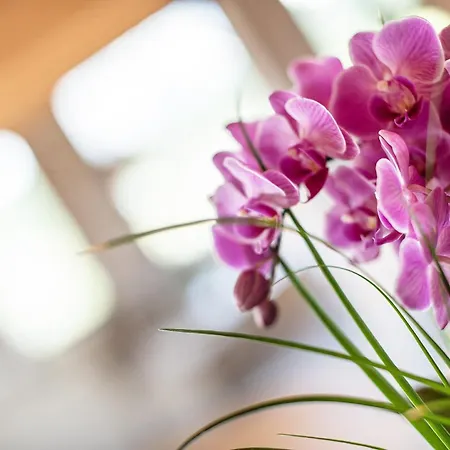 アパートホテル Gotthard - Fine Living ゼーフェルト・イン・チロル