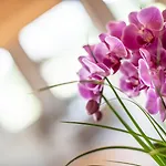 Hotel apartamentowy Gotthard - Fine Living Seefeld w Tirolu